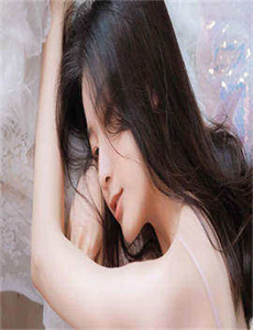 《帕卢姆之树》