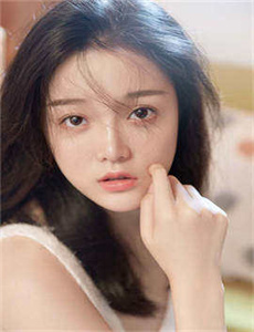 《李献计历险记2011》