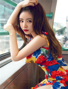 《画心师》