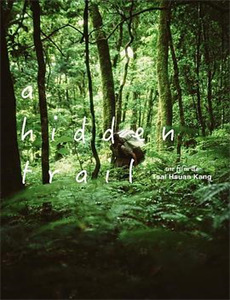 萨贝尔还很年轻