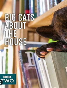 黄明昊偶像练习生全程回顾