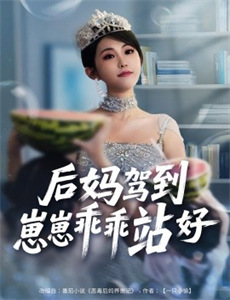 超次元战记战机少女