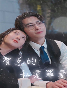 双枪老太婆传奇