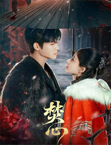 复仇女神 第一季