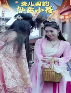 律师本色 第四季